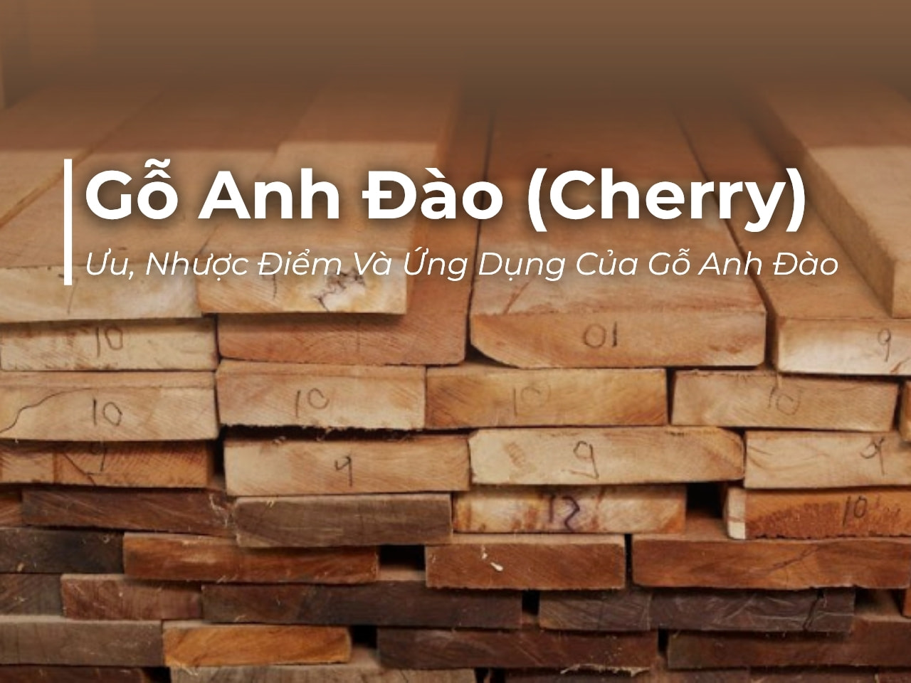 Gỗ Anh Đào (Cherry) Là Gì? Ưu, Nhược Điểm Và Ứng Dụng Của Gỗ Anh Đào