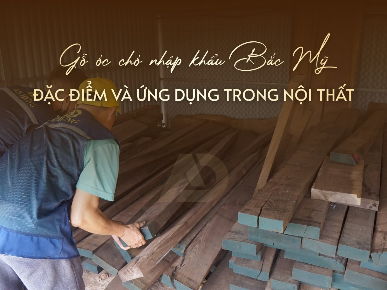 GỖ ÓC CHÓ NHẬP KHẨU BẮC MỸ. ĐẶC ĐIỂM VÀ ỨNG DỤNG TRONG NỘI THẤT