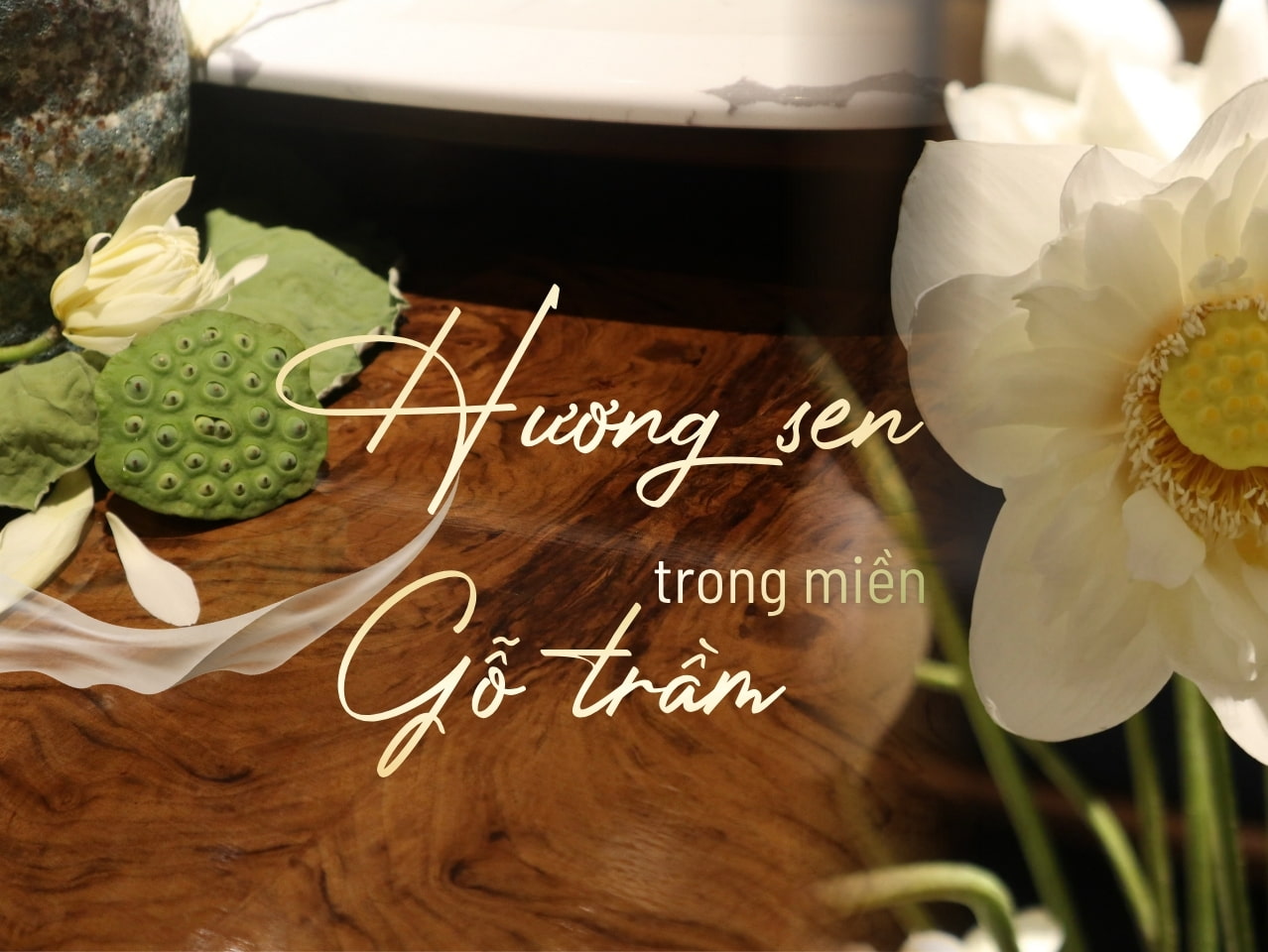 HƯƠNG SEN TRONG MIỀN GỖ TRẦM – SOFA GỖ ÓC CHÓ ĐẸP