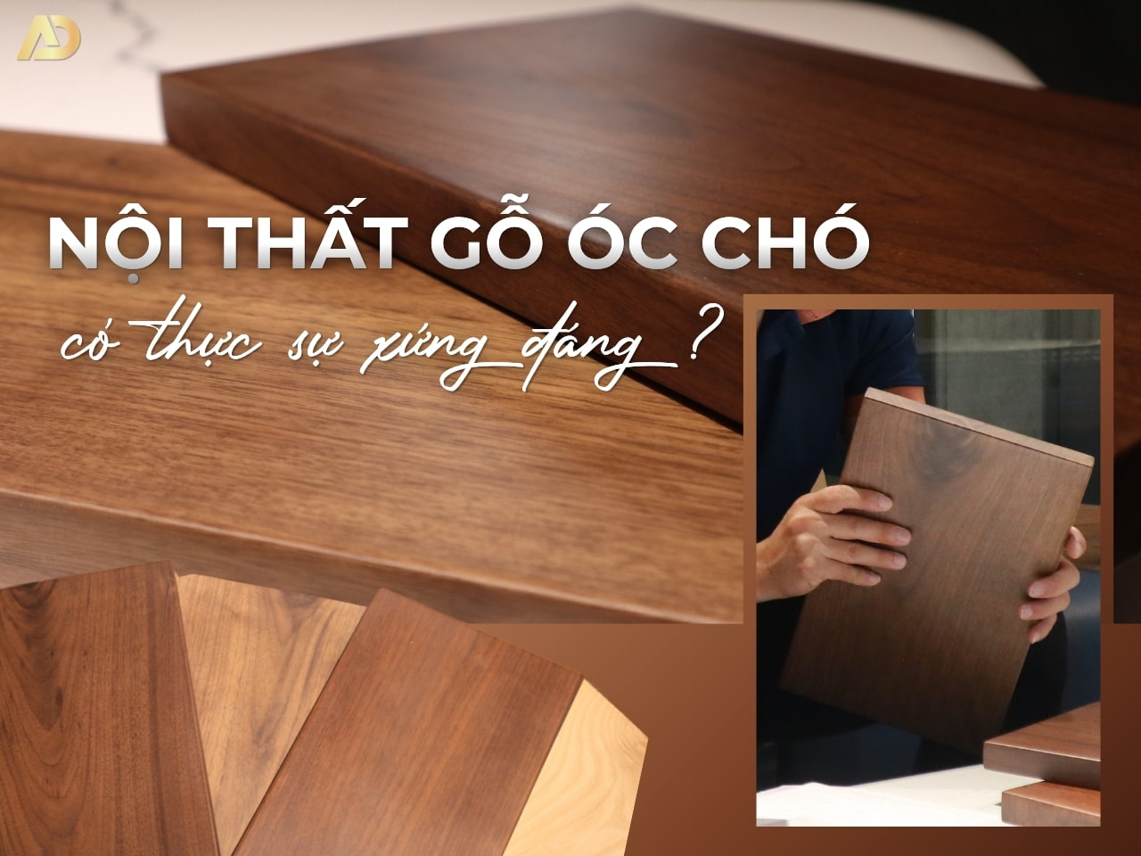 NỘI THẤT GỖ ÓC CHÓ CÓ THỰC SỰ XỨNG ĐÁNG ĐỂ ĐẦU TƯ?